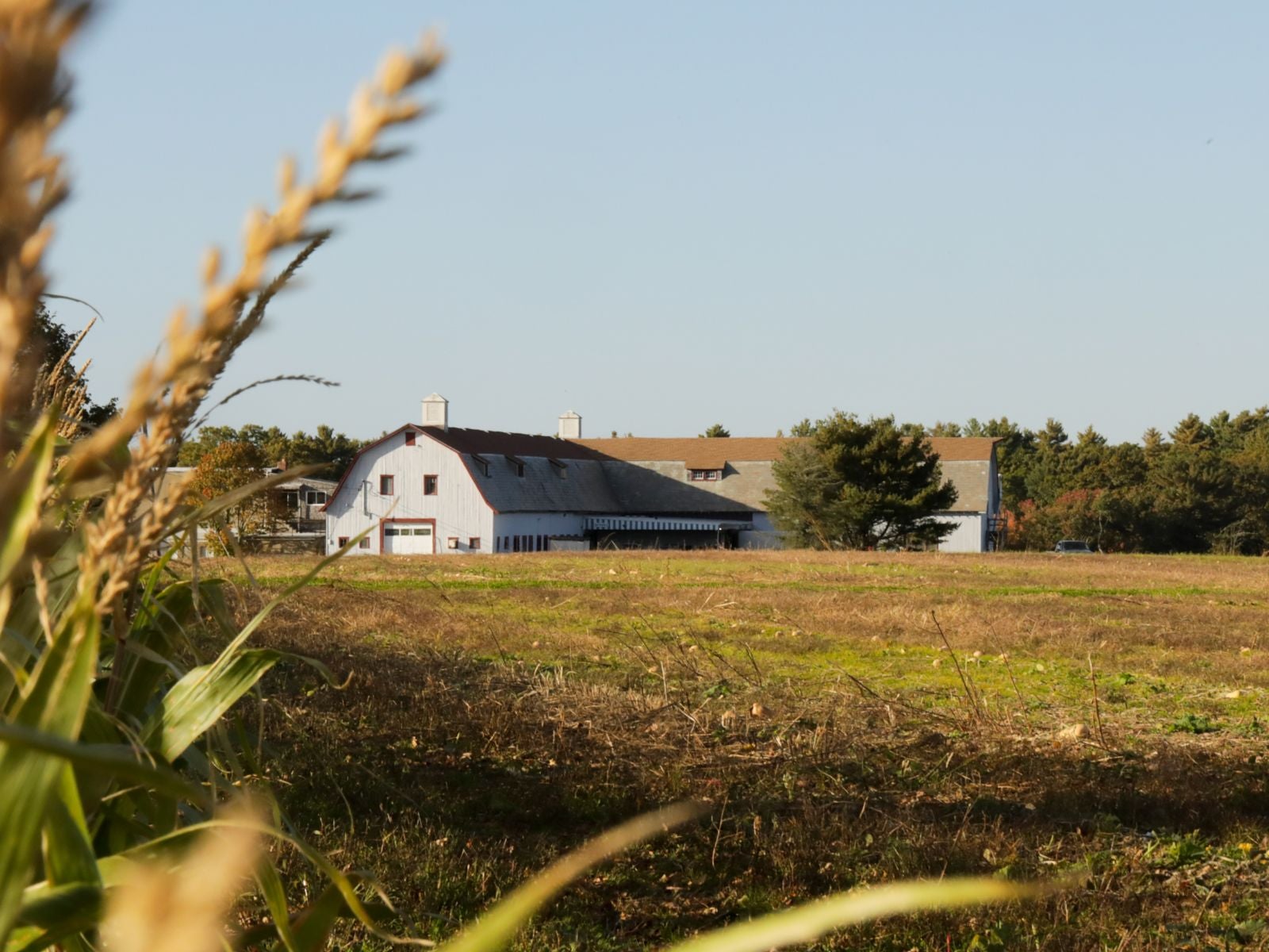 Home Jonathan Sprouts